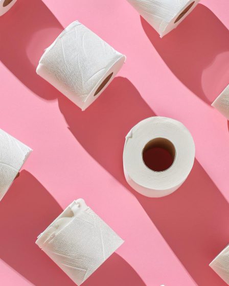 Fornecedor de papel higiênico para empresas: onde encontrar a empresa ideal?