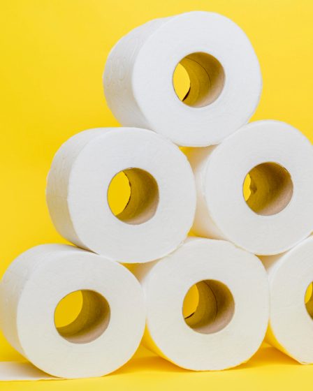 Distribuidor de papel higiênico em rolo: conheça a Global Paper