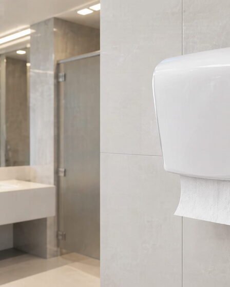 Dispenser de papel toalha para uso profissional: qual é o melhor?